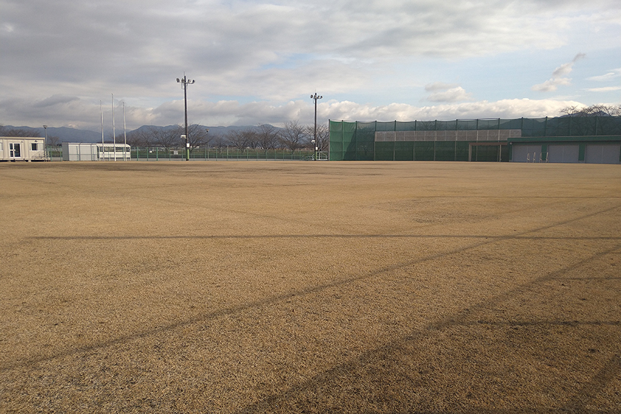 愛荘町中央スポーツ公園の画像