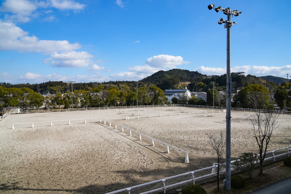 乗馬苑馬場